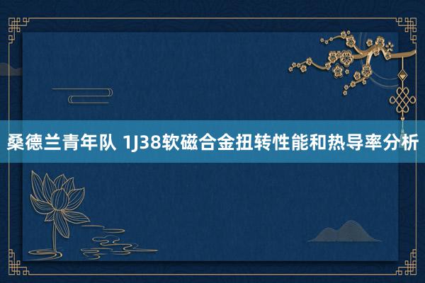 桑德兰青年队 1J38软磁合金扭转性能和热导率分析